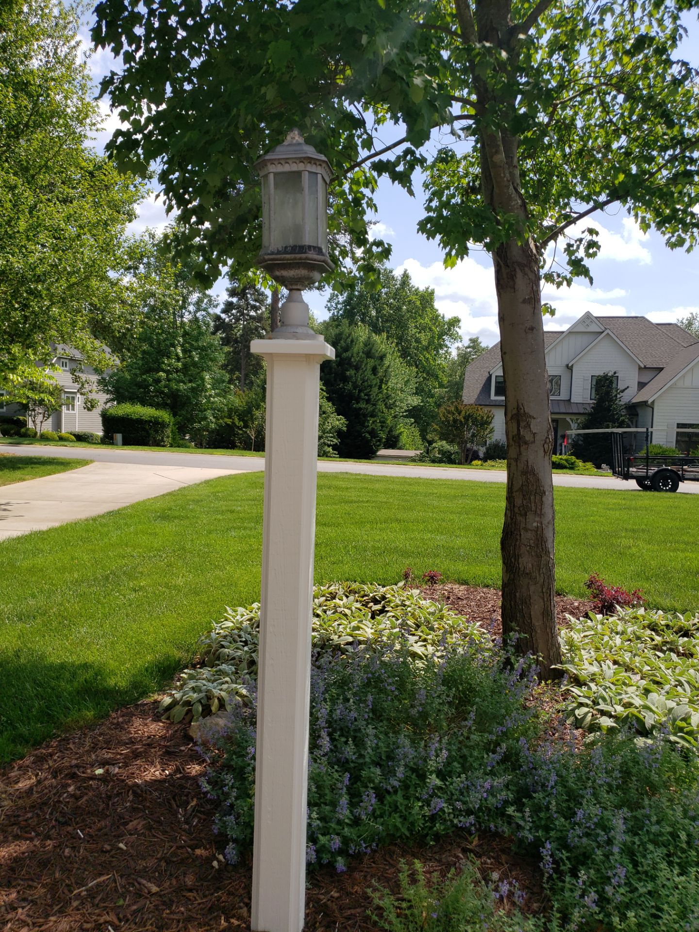 Expert Rot Repair: Restoring Custom Details!
