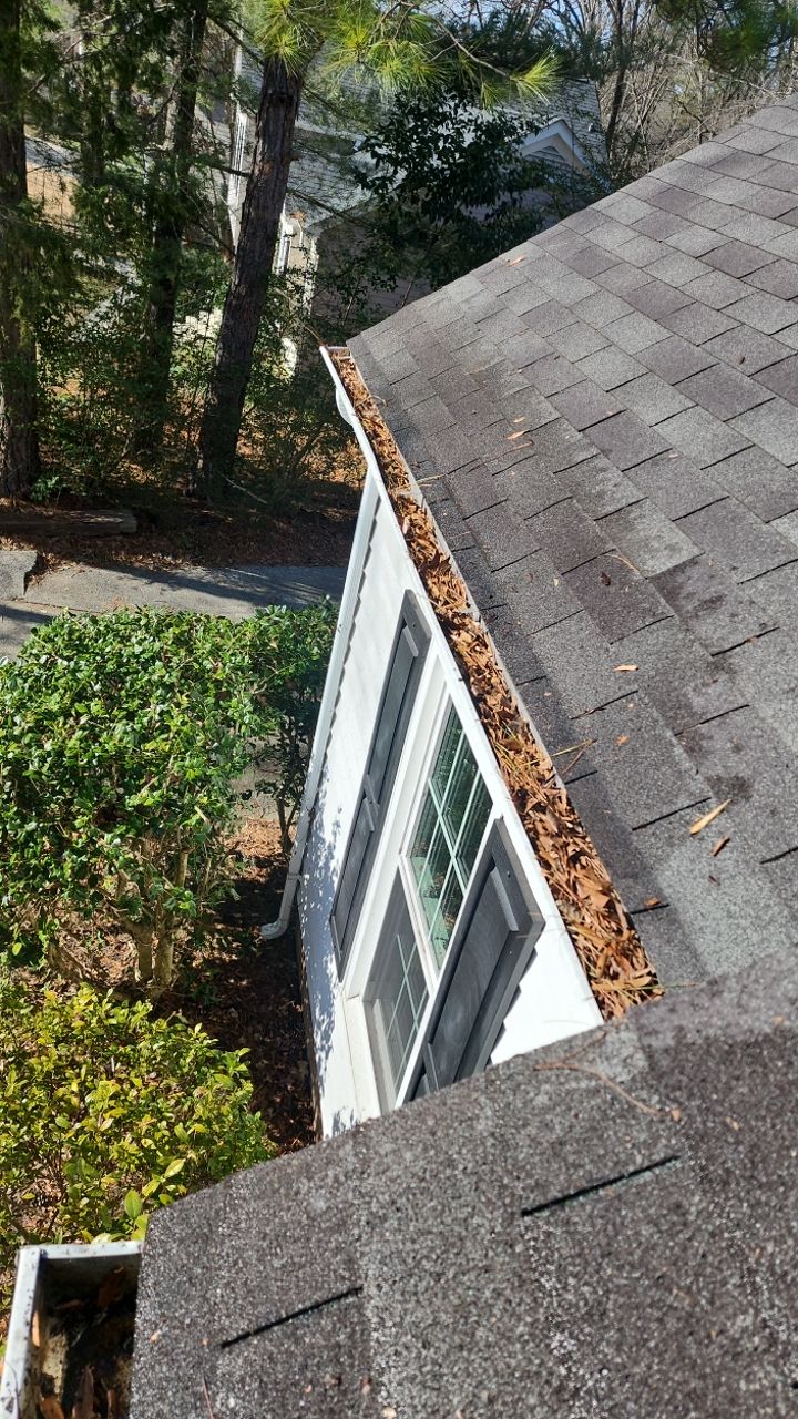 Gutter Cleaning and House wash