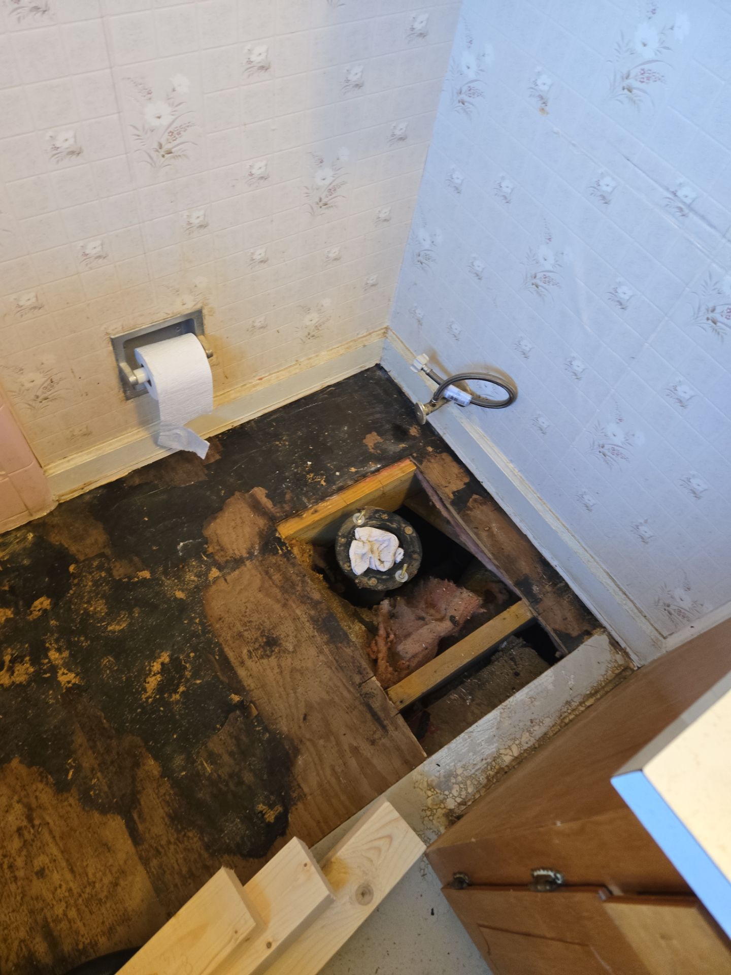 Leaky Toilet Disaster? We Fixed It!