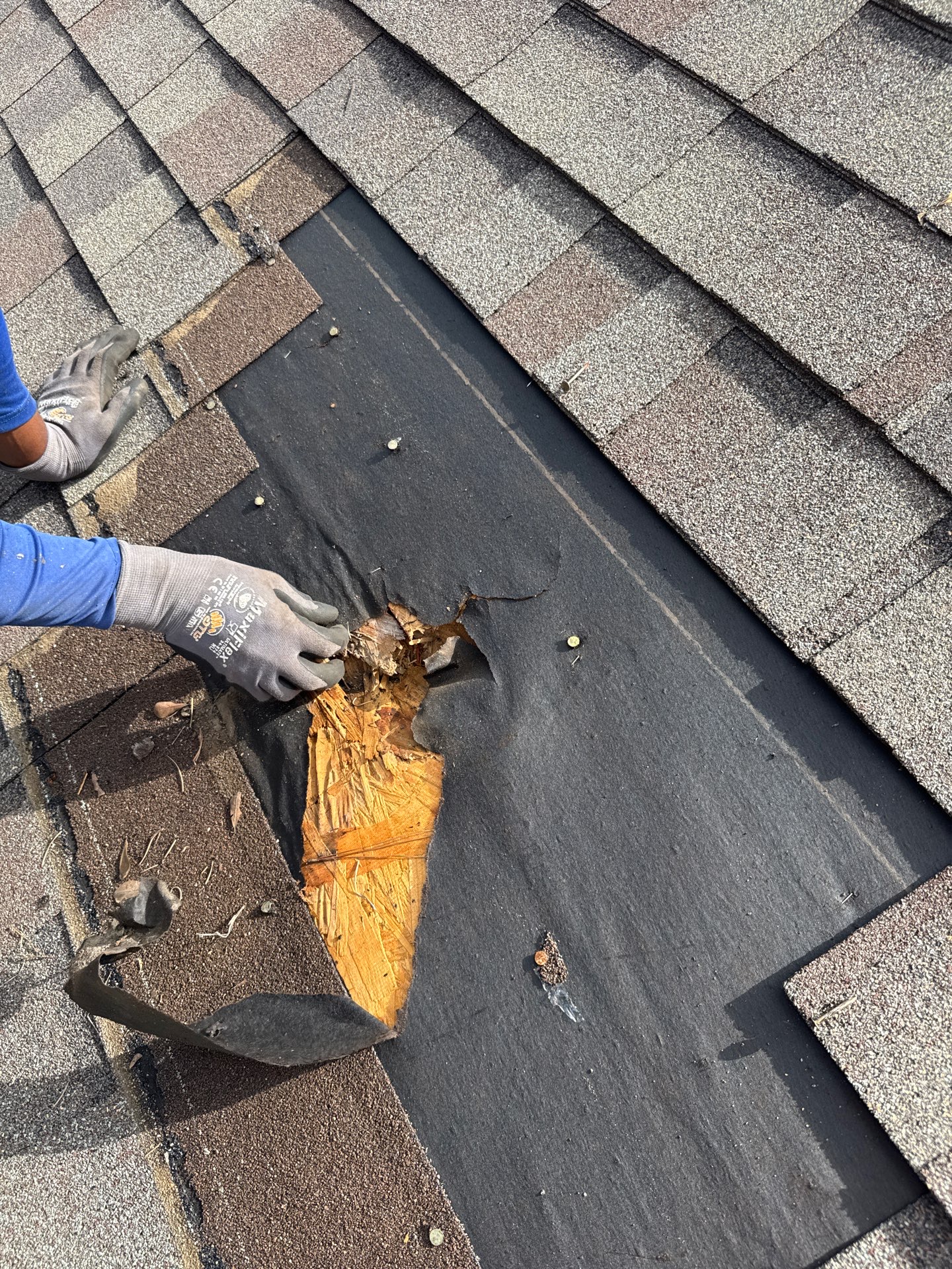 Roof Repair Grangerland