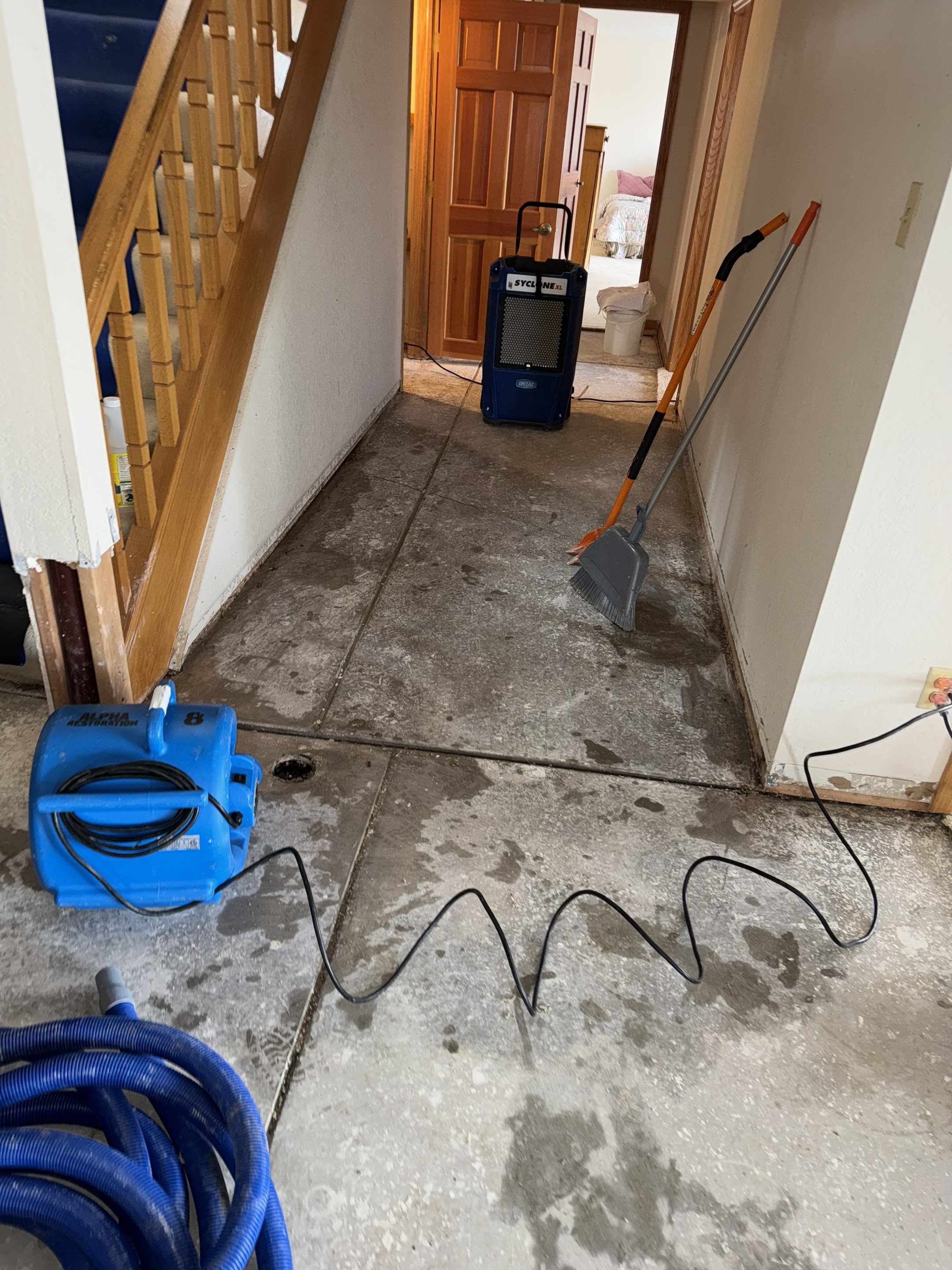 Water Damage in Wheat Ridge, CO