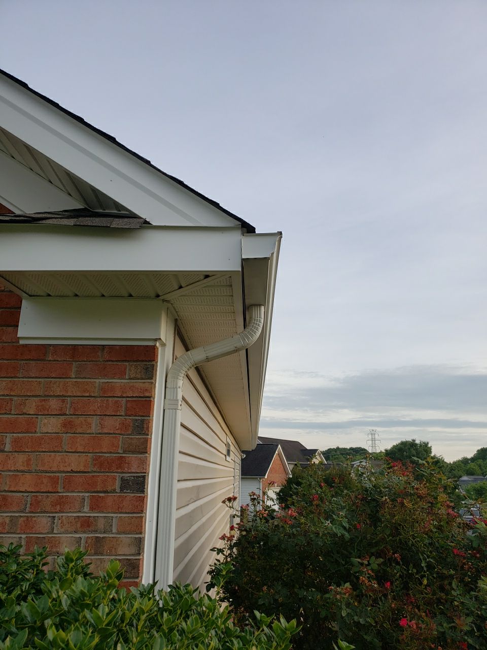 House Wash using cleaner