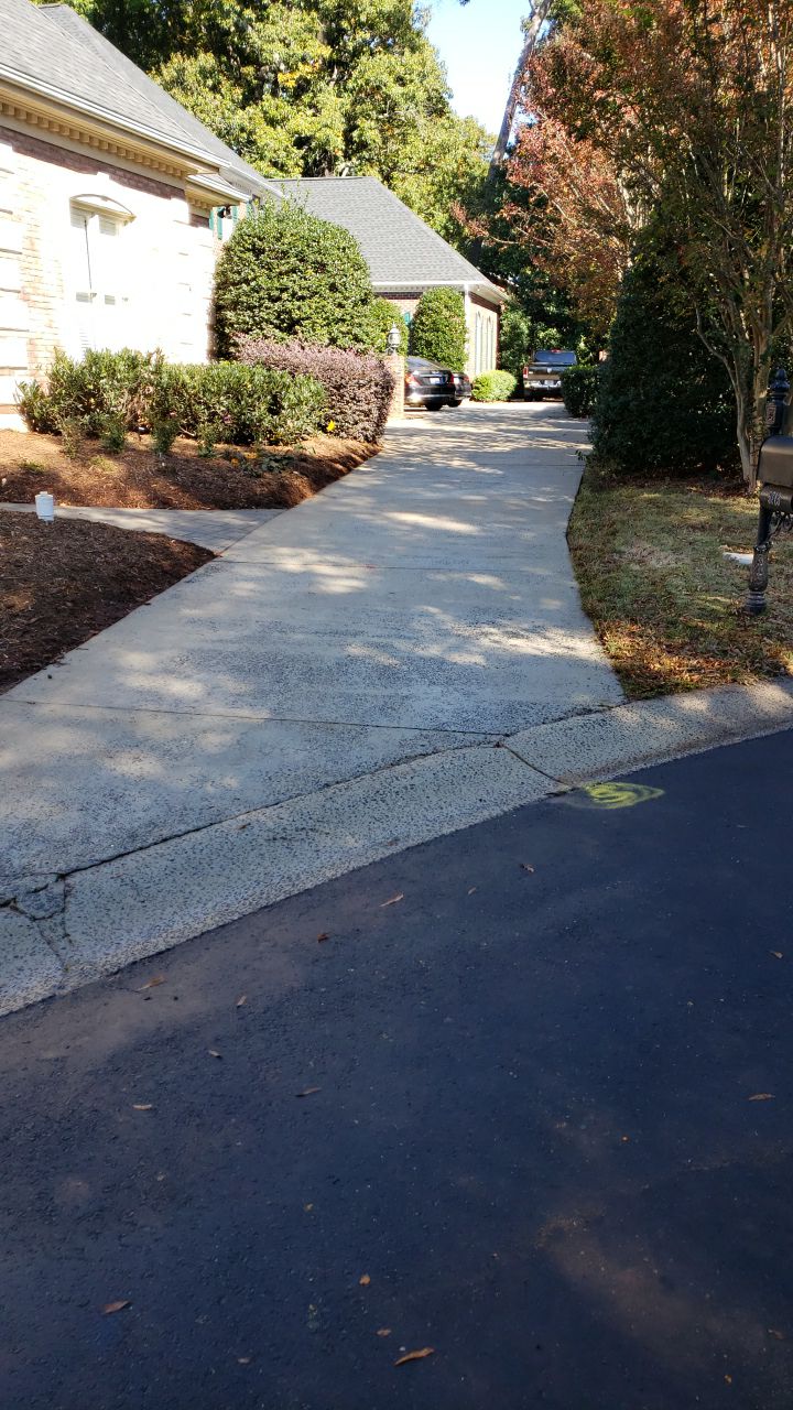 Driveway Clean using cleaner