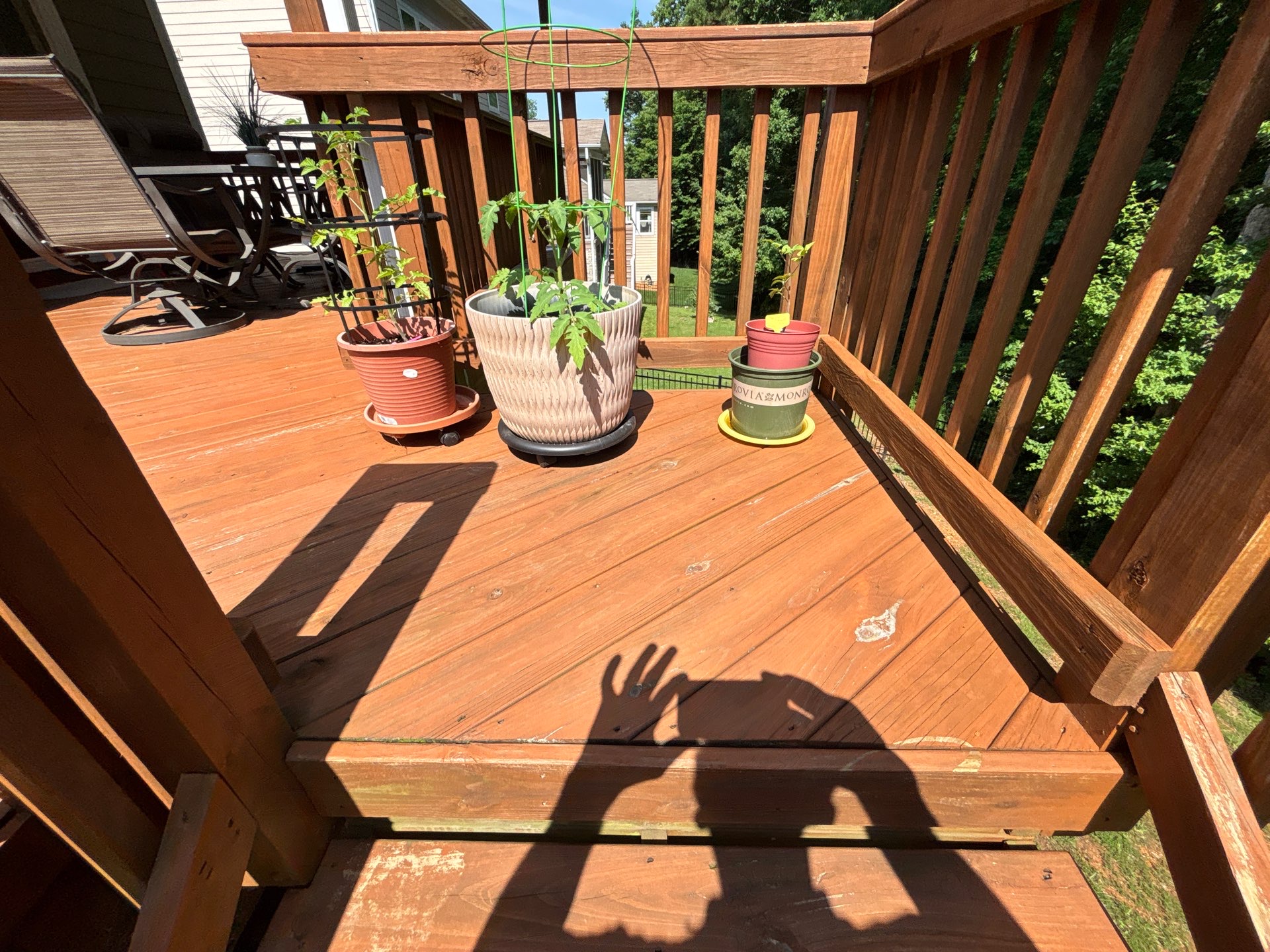 Wood Deck using Wood Sealant