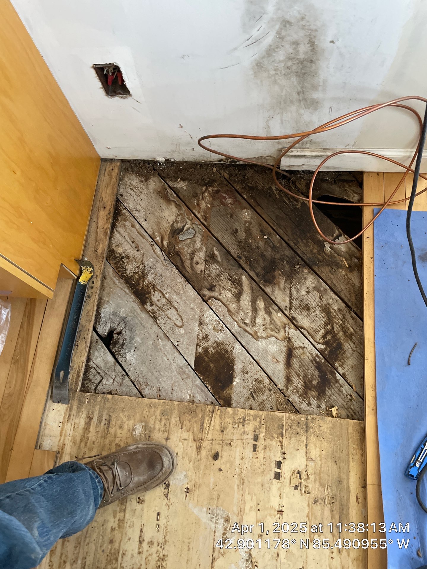 Water Damage Restoration On Solid Birch