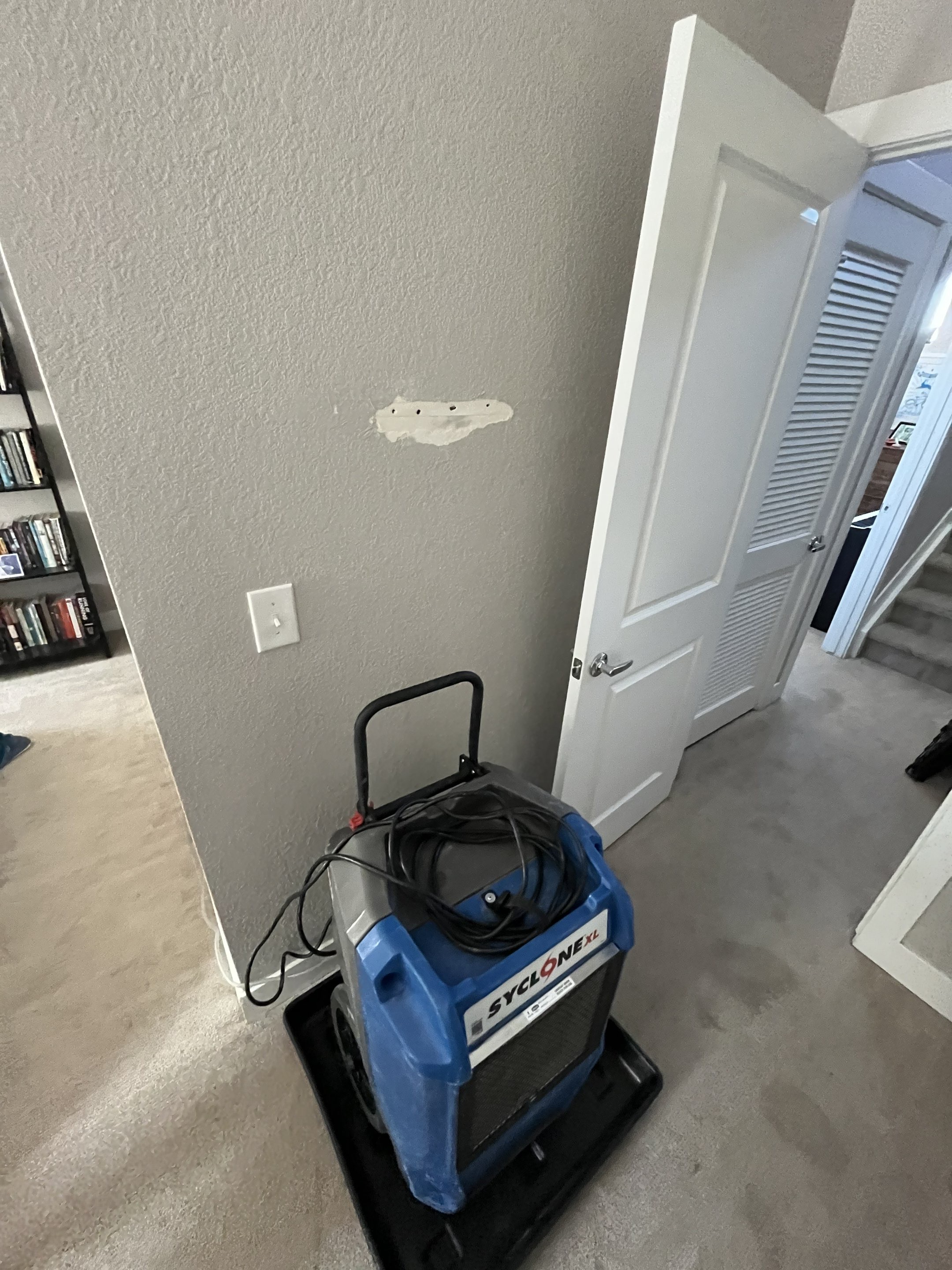 Mold Remediation in Denver, CO